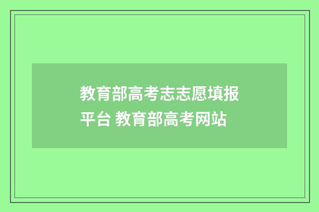 教育部高考志志愿填报平台 教育部高考网站