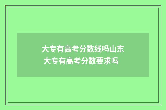 大专有高考分数线吗山东 大专有高考分数要求吗