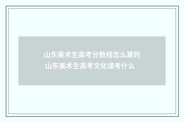 山东美术生高考分数线怎么算的 山东美术生高考文化课考什么