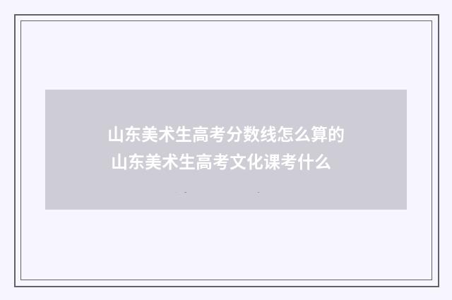山东美术生高考分数线怎么算的 山东美术生高考文化课考什么
