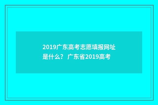 2019广东高考志愿填报网址是什么？ 广东省2019高考