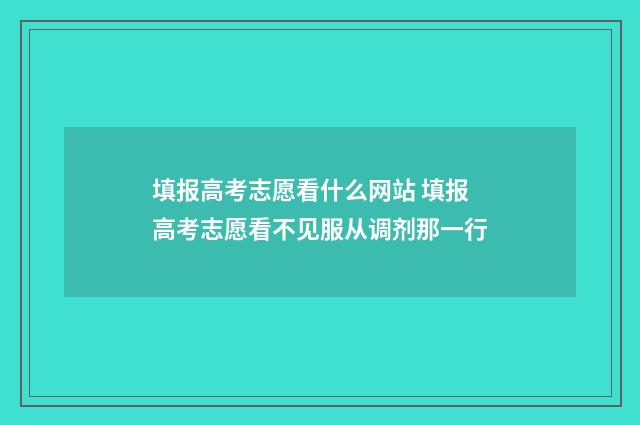填报高考志愿看什么网站 填报高考志愿看不见服从调剂那一行