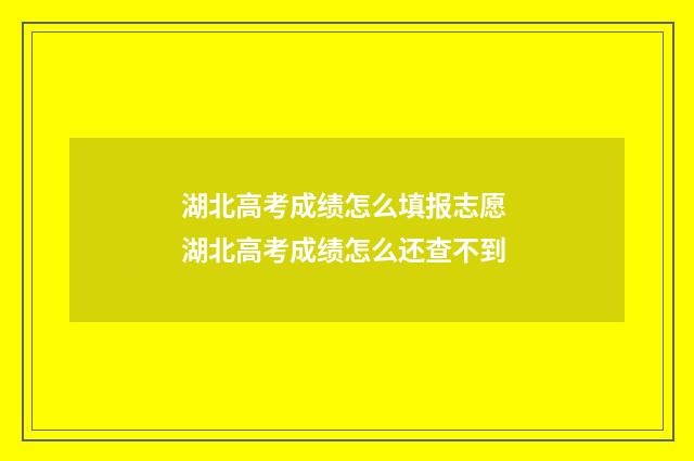 湖北高考成绩怎么填报志愿 湖北高考成绩怎么还查不到