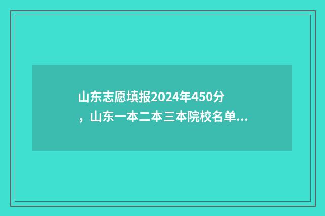 山东志愿填报2024年450分，山东一本二本三本院校名单及录取分数线 山东志愿填报2024年