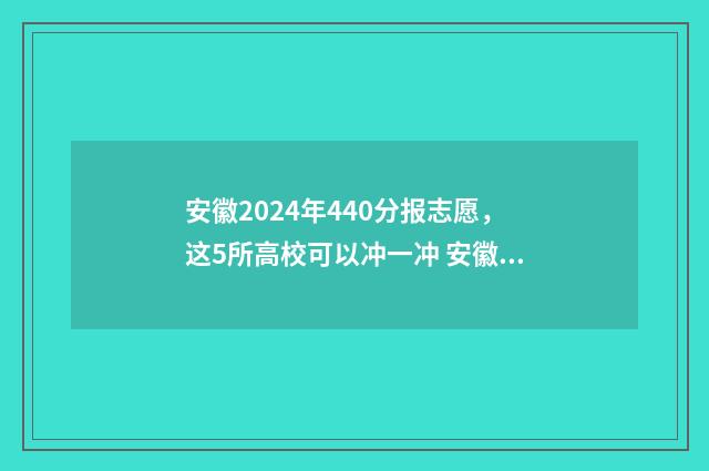 安徽2024年440分报志愿，这5所高校可以冲一冲 安徽2024年高考实行新高考吗
