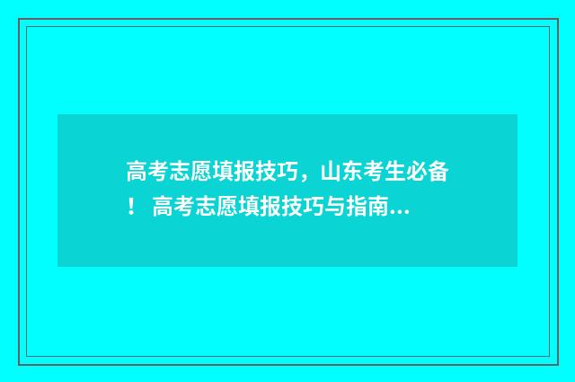 高考志愿填报技巧，山东考生必备！ 高考志愿填报技巧与指南2004
