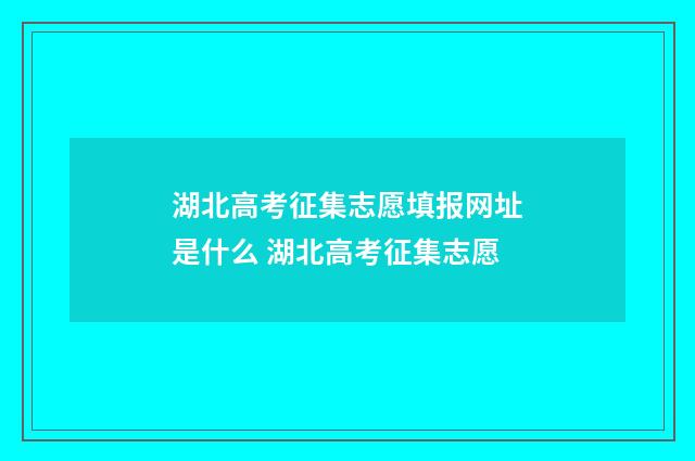 湖北高考征集志愿填报网址是什么 湖北高考征集志愿