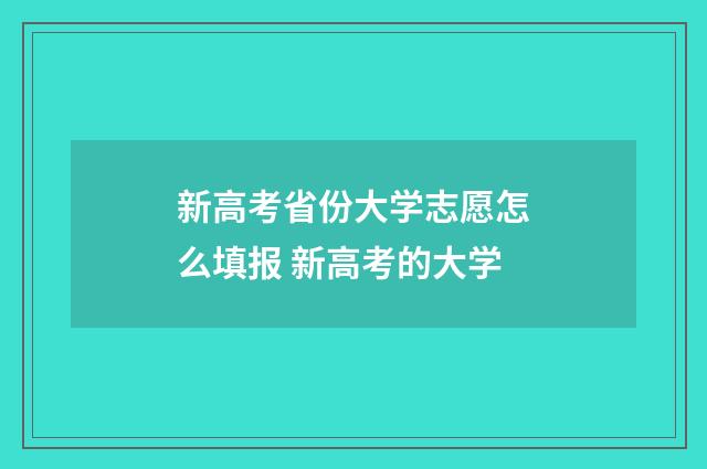 新高考省份大学志愿怎么填报 新高考的大学