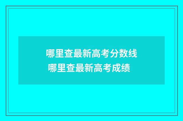 哪里查最新高考分数线 哪里查最新高考成绩
