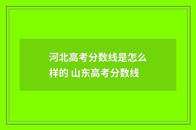 河北高考分数线是怎么样的 山东高考分数线