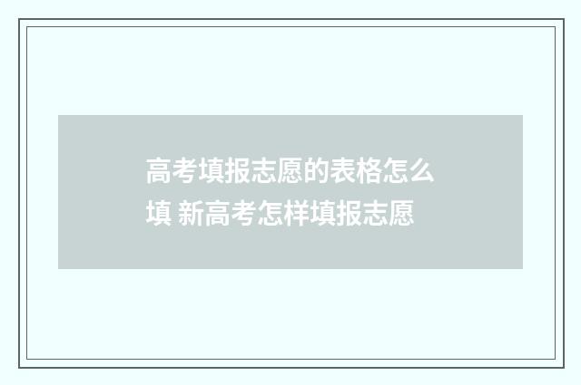 高考填报志愿的表格怎么填 新高考怎样填报志愿