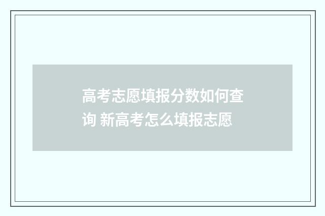 高考志愿填报分数如何查询 新高考怎么填报志愿