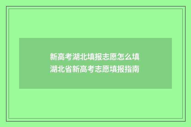 新高考湖北填报志愿怎么填 湖北省新高考志愿填报指南