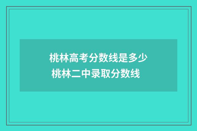 桃林高考分数线是多少 桃林二中录取分数线
