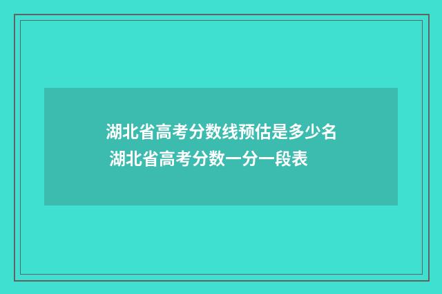 湖北省高考分数线预估是多少名 湖北省高考分数一分一段表