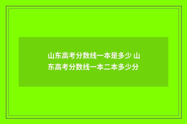 山东高考分数线一本是多少 山东高考分数线一本二本多少分