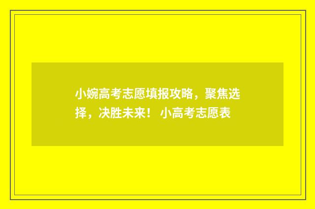 小婉高考志愿填报攻略，聚焦选择，决胜未来！ 小高考志愿表