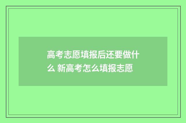高考志愿填报后还要做什么 新高考怎么填报志愿