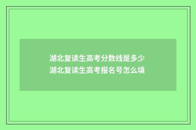 湖北复读生高考分数线是多少 湖北复读生高考报名号怎么填