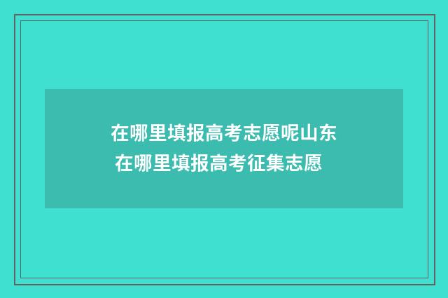 在哪里填报高考志愿呢山东 在哪里填报高考征集志愿