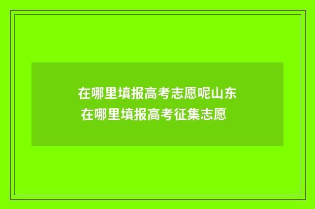 在哪里填报高考志愿呢山东 在哪里填报高考征集志愿