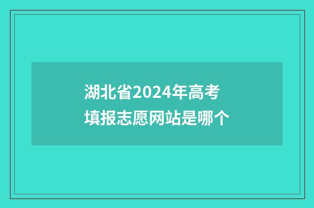 湖北省2024年高考填报志愿网站是哪个