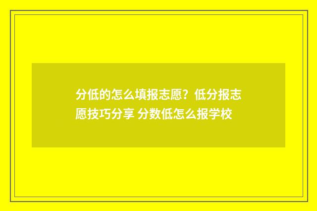分低的怎么填报志愿？低分报志愿技巧分享 分数低怎么报学校
