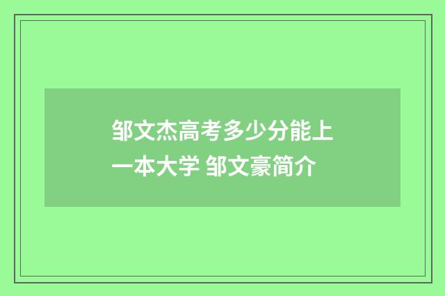 邹文杰高考多少分能上一本大学 邹文豪简介