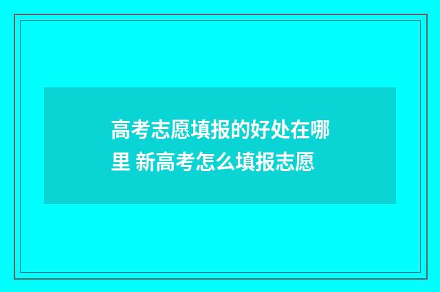 高考志愿填报的好处在哪里 新高考怎么填报志愿