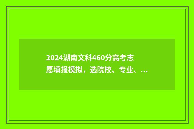 2024湖南文科460分高考志愿填报模拟，选院校、专业、职业指导 2024湖南文科460分