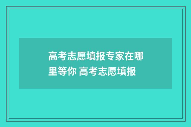高考志愿填报专家在哪里等你 高考志愿填报
