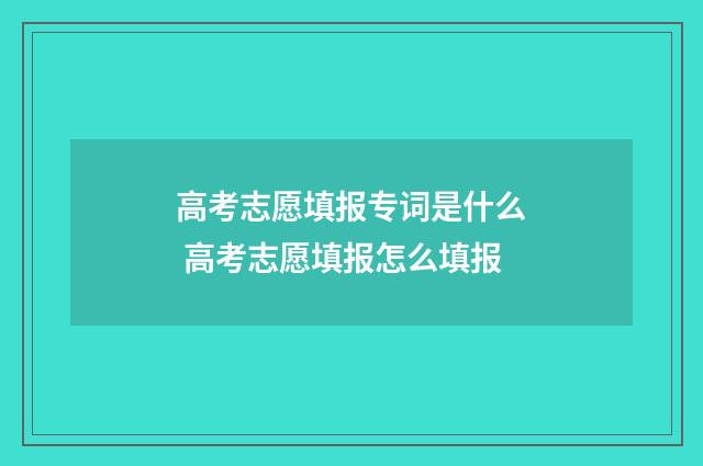 高考志愿填报专词是什么 高考志愿填报怎么填报