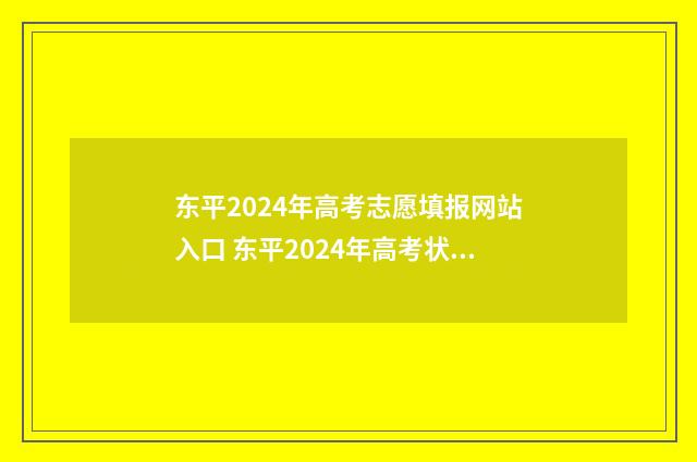 东平2024年高考志愿填报网站入口 东平2024年高考状元考了多少