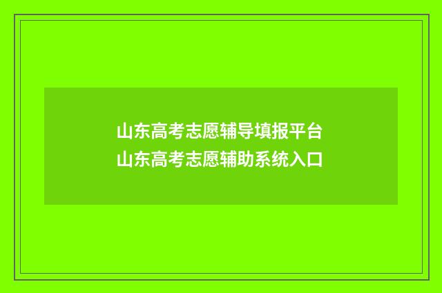 山东高考志愿辅导填报平台 山东高考志愿辅助系统入口