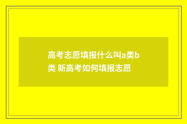 高考志愿填报什么叫a类b类 新高考如何填报志愿