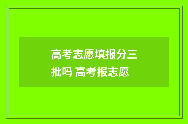 高考志愿填报分三批吗 高考报志愿