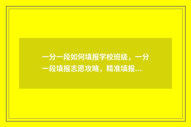 一分一段如何填报学校班级，一分一段填报志愿攻略，精准填报，名校梦圆 一分一段怎么用