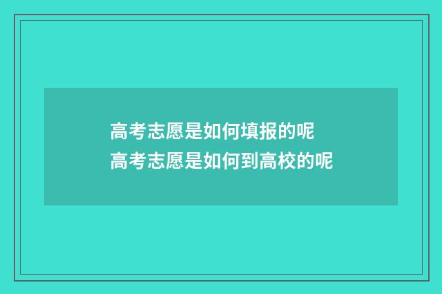 高考志愿是如何填报的呢 高考志愿是如何到高校的呢
