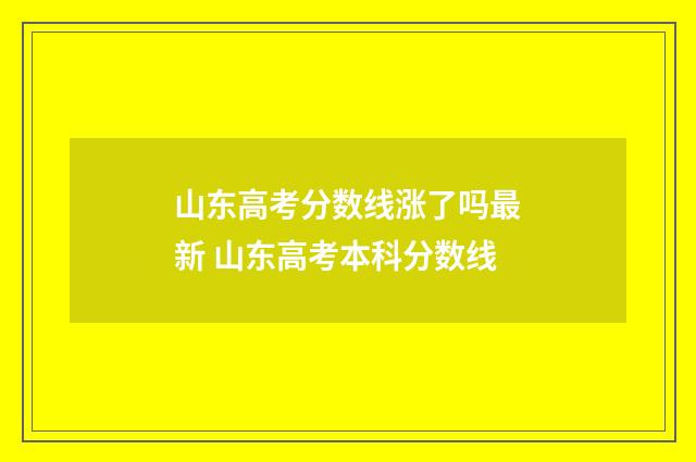 山东高考分数线涨了吗最新 山东高考本科分数线