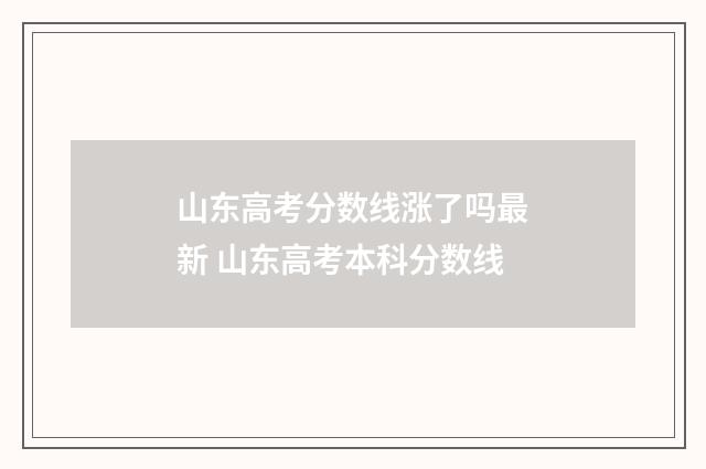 山东高考分数线涨了吗最新 山东高考本科分数线