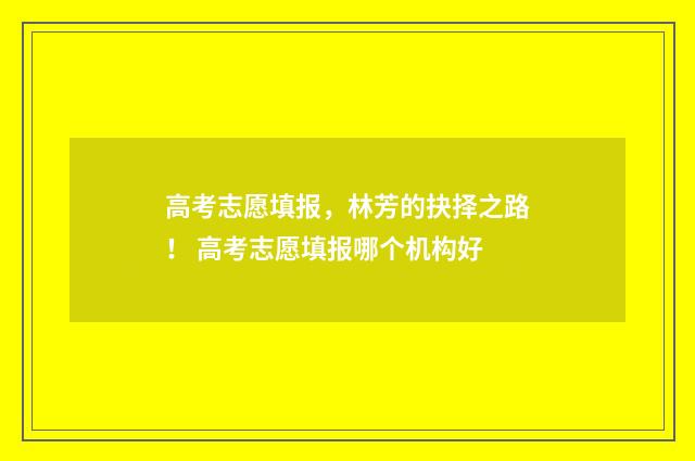 高考志愿填报，林芳的抉择之路！ 高考志愿填报哪个机构好