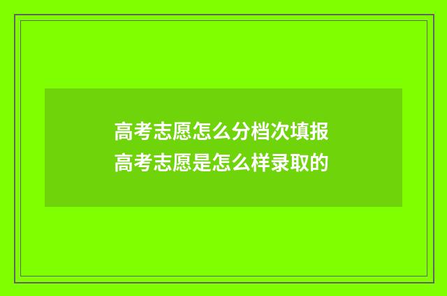 高考志愿怎么分档次填报 高考志愿是怎么样录取的