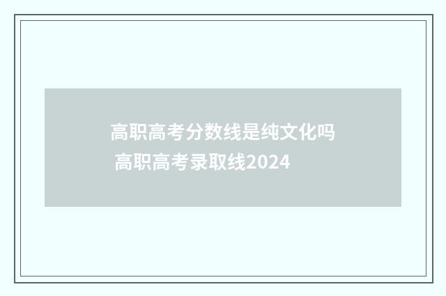 高职高考分数线是纯文化吗 高职高考录取线2024
