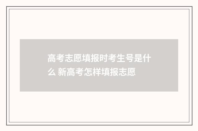 高考志愿填报时考生号是什么 新高考怎样填报志愿