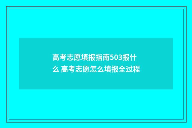 高考志愿填报指南503报什么 高考志愿怎么填报全过程