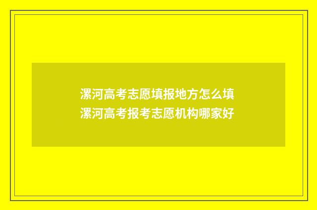 漯河高考志愿填报地方怎么填 漯河高考报考志愿机构哪家好