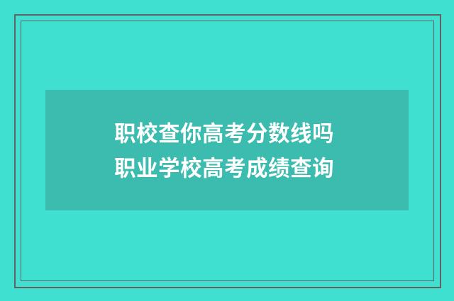 职校查你高考分数线吗 职业学校高考成绩查询