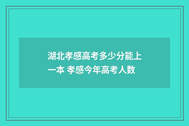 湖北孝感高考多少分能上一本 孝感今年高考人数