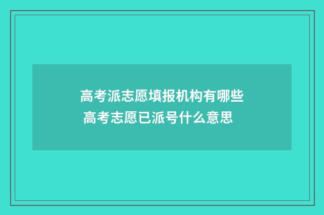 高考派志愿填报机构有哪些 高考志愿已派号什么意思