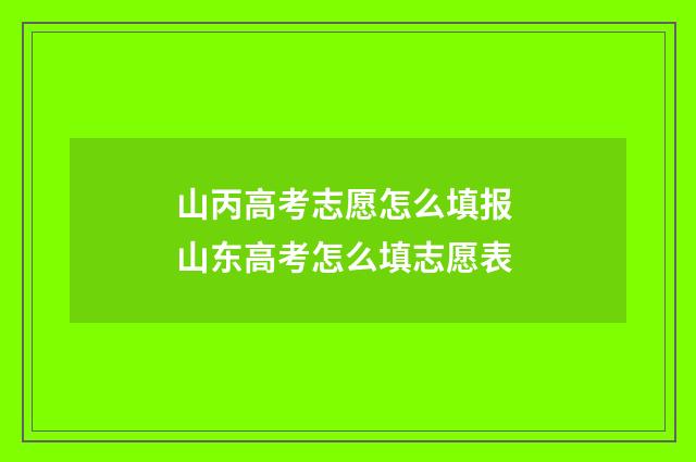 山丙高考志愿怎么填报 山东高考怎么填志愿表